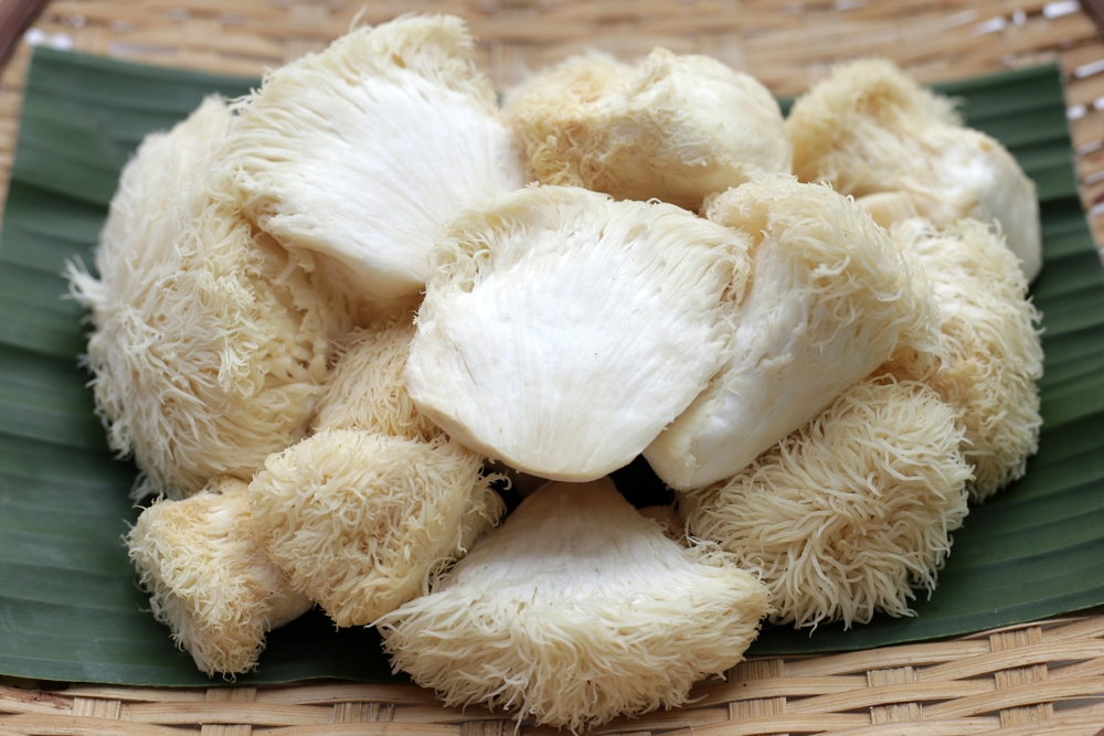 Does Lion's Mane Increase Testosterone