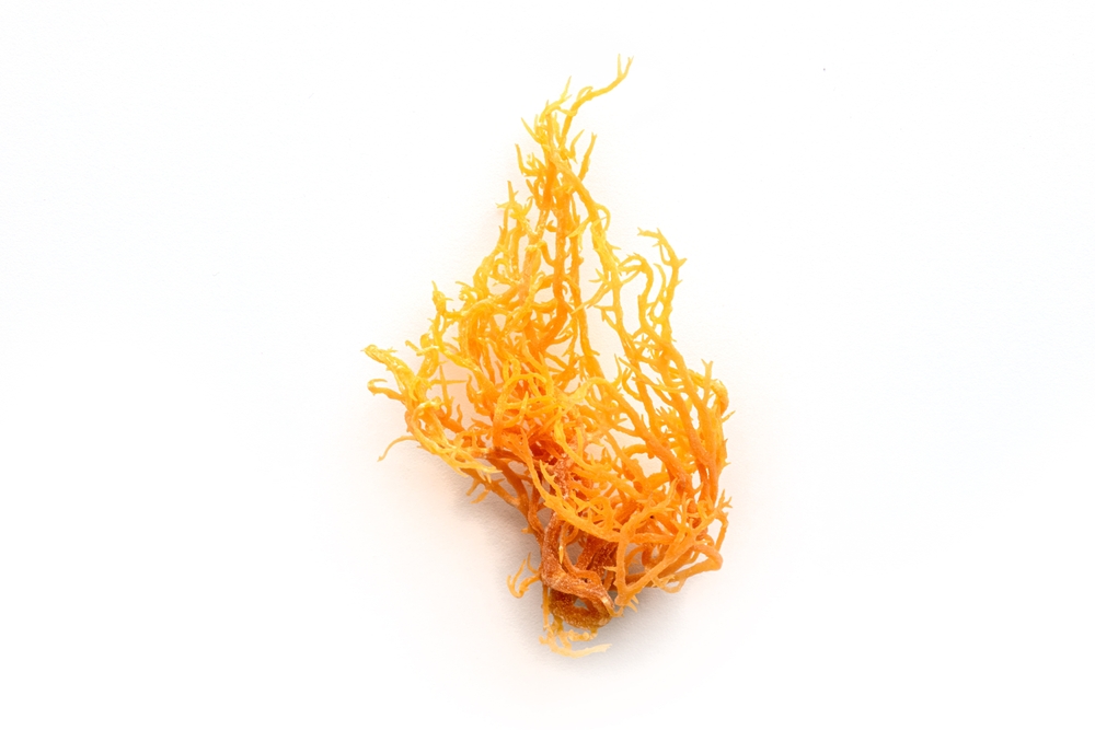 Does Irish Sea Moss Boost Testosterone