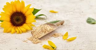 What is Sunflower Lecithin Used For? A Comprehensive Guide