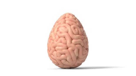Choline: An Important Nutrient for a Healthy Brain