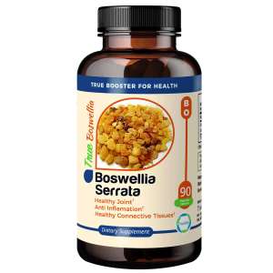 Herbal Secrets Boswellia Serrata extract, 600 mg Capsules with 90 Capsules and 65% Boswellic Acid front image